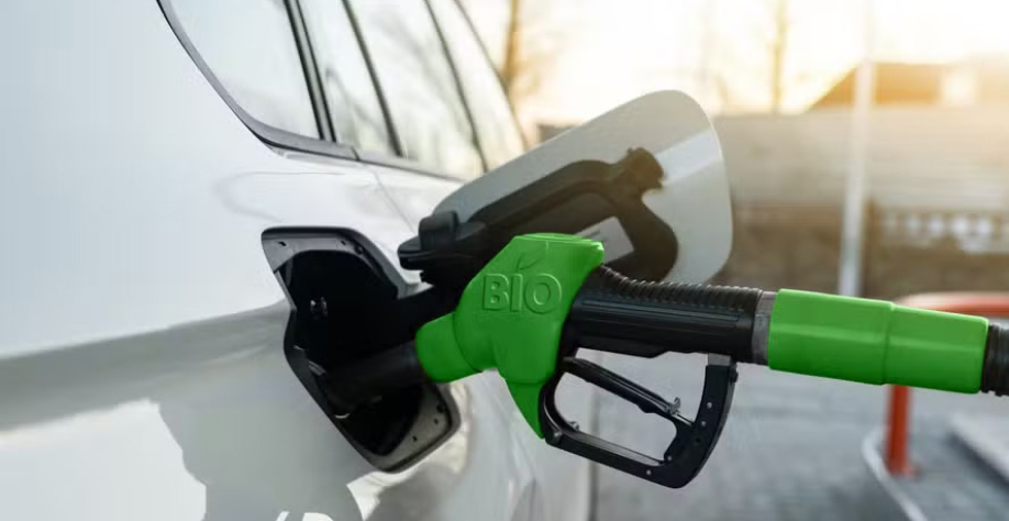 Indústria automotiva defende a posição do governo, de garantir a realização dos testes antes de aprovar a nova mistura — Foto: Canva/ Creative Commoms