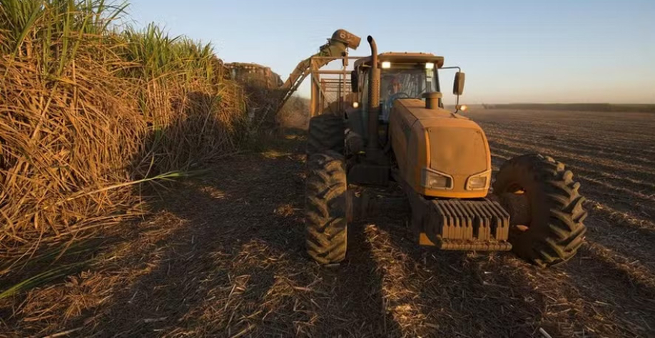 Raízen processou 70 milhões de toneladas de cana-de-açúcar nesta safra — Foto: Raizen/Divulgação