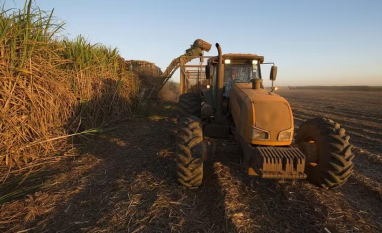 Pedido de recuperação extrajudicial da Raízen preocupa fornecedores de cana