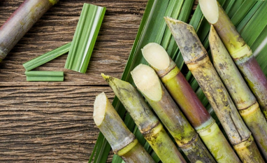 Petróleo pode elevar piso do açúcar no Brasil