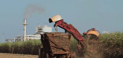 Açúcar mantém exportações de Alagoas, mas cenário externo segue negativo