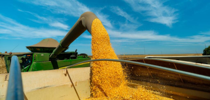 Etanol de milho ganha destaque e Mato Grosso se consolida como o maior produtor de biocombustível