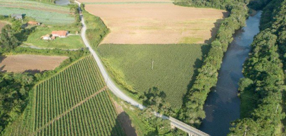 Governo de SP lança módulo online do CAR e avança na modernização da regularização ambiental