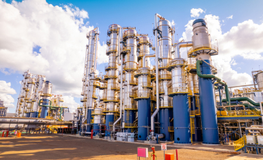 Inpasa inicia operação de unidade na Bahia e amplia produção