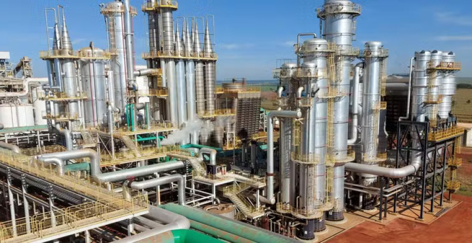 Baixos resultados do segmento sucroalcooleiro afetaram o balanço da Adecoagro, que possui três usinas de cana — Foto: Divulgação