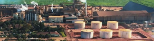 Cocal projeta eliminar diesel com avanço do biometano