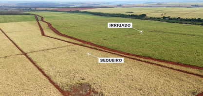 Entre extremos climáticos, irrigação redefine a estratégia produtiva da Fazenda Guarita