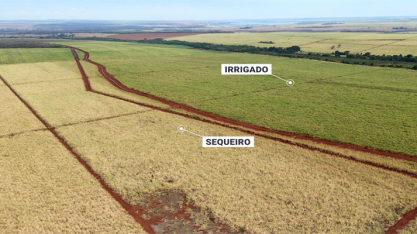Entre extremos climáticos, irrigação redefine a estratégia produtiva da Fazenda Guarita