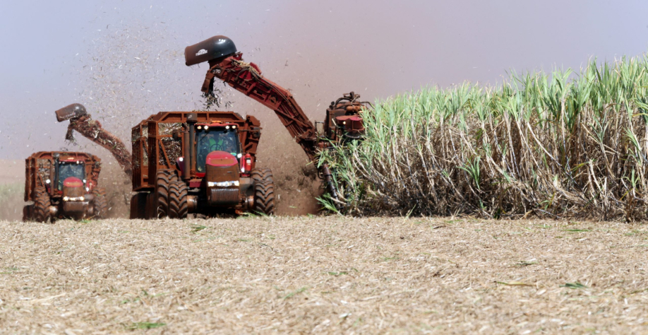 Colheitadeiras em plena operação durante a safra de cana-de-açúcar. | Foto: REUTERS/Paulo Whitaker