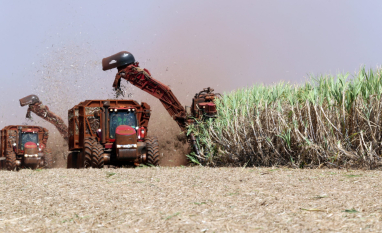 Brasil reduzirá exportações de açúcar em 14% com mudança para etanol, diz Safras & Mercado