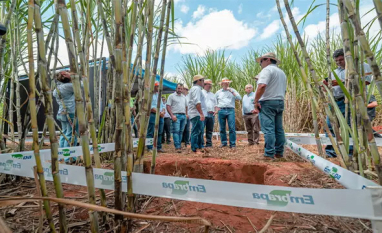 Expocanas transforma canavial em vitrine de negócios e inovação em MS