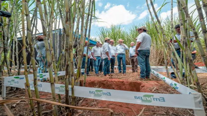 Expocanas transforma canavial em vitrine de negócios e inovação em MS