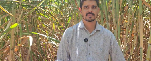 Como a Beggio Lorenzo Agropecuária consegue realizar plantio e colheita de cana com qualidade