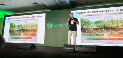 Pacote biológico pode elevar produtividade da cana em até 10%