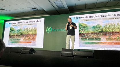 Pacote biológico pode elevar produtividade da cana em até 10%