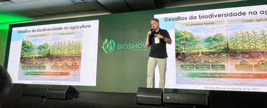 Pacote biológico pode elevar produtividade da cana em até 10%