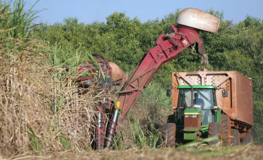 Preços do açúcar e do etanol sobem com fim da safra de cana e alta do petróleo