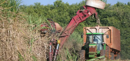 Preços do açúcar e do etanol sobem com fim da safra de cana e alta do petróleo