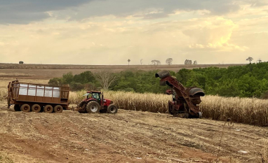 Operação concentra custo e define eficiência na cana