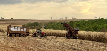 Operação concentra custo e define eficiência na cana