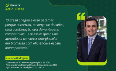 Bioenergia sustenta 60% das renováveis no Brasil e deve encarar desafios à altura