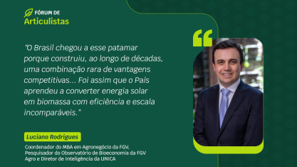 Bioenergia sustenta 60% das renováveis no Brasil e deve encarar desafios à altura