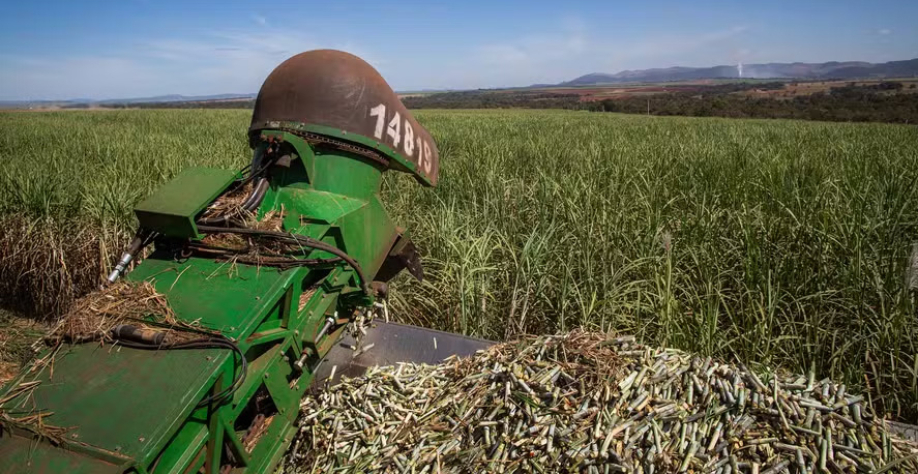 A produção brasileira de cana-de-açúcar deve totalizar 677,7 milhões de toneladas na safra 2026/27 — Foto: Wenderson Araujo/CNA