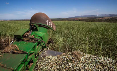 Moagem de cana-de-açúcar deve crescer 3% na temporada 2026/27