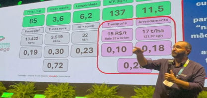 Custo da cana atinge R$ 175 por tonelada na safra 2025/26