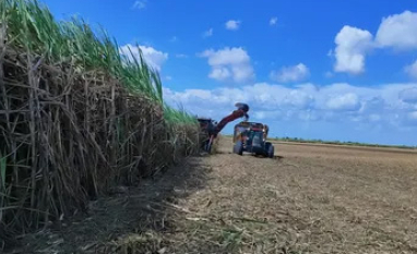 Safra de cana em AL se aproxima do fim com queda de 3% na produção
