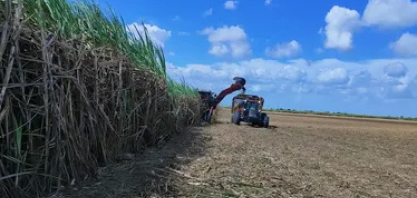Safra de cana em AL se aproxima do fim com queda de 3% na produção