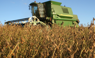 Cooperativas: Frísia compra esmagadora de soja da Louis Dreyfus em Ponta Grossa (PR)