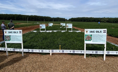  Apta Regional de Pindorama sediará 17º Encontro de Produtores de Amendoim no dia 4 de março