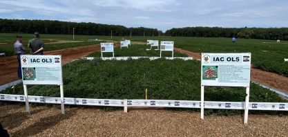  Apta Regional de Pindorama sediará 17º Encontro de Produtores de Amendoim no dia 4 de março