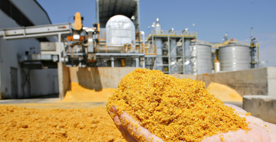 Imagem: reprodução/Clube do Gado