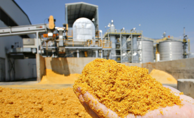Subproduto do etanol de milho ganha espaço nas exportações