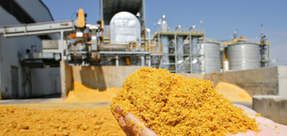 Subproduto do etanol de milho ganha espaço nas exportações
