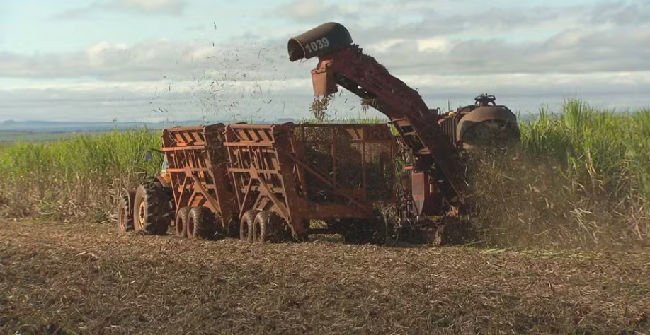 Indústria da cana-de-açúcar — Foto: Reprodução/TV Globo