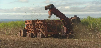 Raízen: pedido de recuperação extrajudicial acende alerta para produtores de cana às vésperas da nova safra