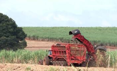 Produção de etanol deve bater recorde na safra 2026/2027