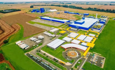 Da canola à macaúba, agronegócio brasileiro diversifica culturas para produzir etanol e biodiesel