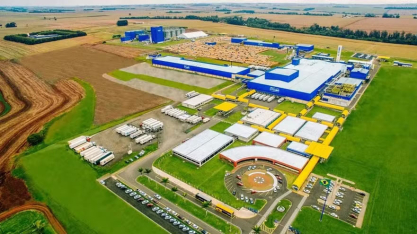 Da canola à macaúba, agronegócio brasileiro diversifica culturas para produzir etanol e biodiesel