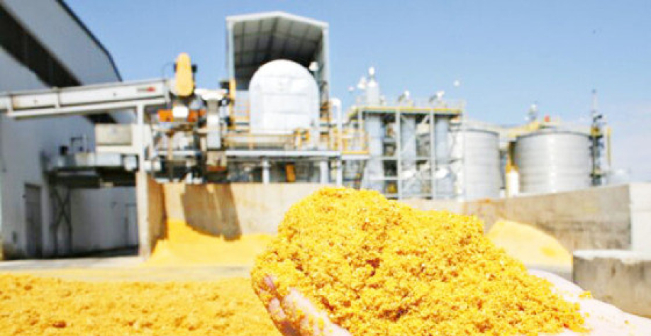 A expansão desse mercado representa uma reconfiguração estrutural no destino do milho no Brasil