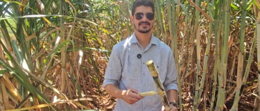 Mesmo em época de crise, a Beggio Lorenzo Agropecuária não reduz investimento em canavial