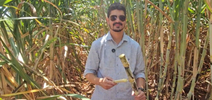 Mesmo em época de crise, a Beggio Lorenzo Agropecuária não reduz investimento em canavial