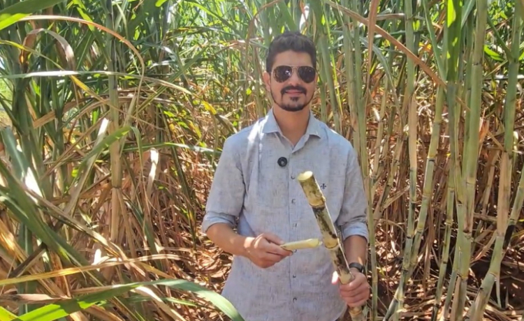 Mesmo em época de crise, a Beggio Lorenzo Agropecuária não reduz investimento em canavial