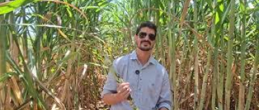 Como a Beggio Lorenzo Agropecuária consegue realizar plantio e colheita de cana com qualidade