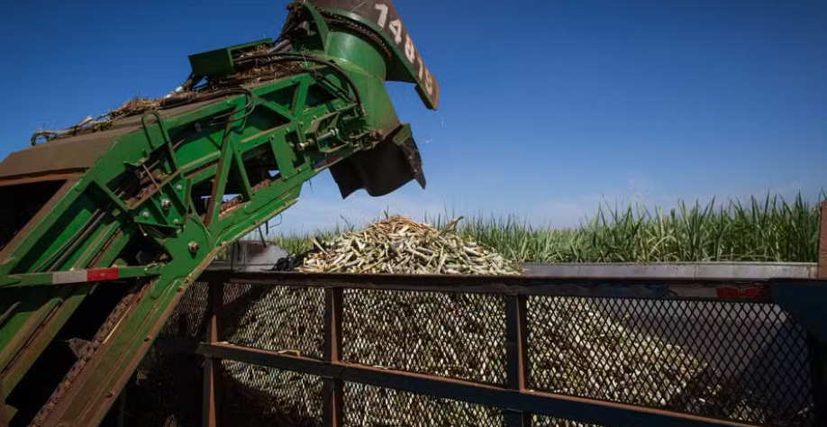 Projeções preliminares de moagem de cana-de-açúcar para a safra 2026/27 na região Centro-Sul estão estimadas em torno de 625 a 630 milhões de toneladas, crescimento de 3% a 4% — Foto: Wenderson Araújo/CNA