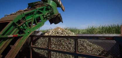 Safra de cana 2025/26 é encerrada com preços maiores para o etanol, mas queda para o açúcar