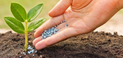 Guerra e volatilidade global reforçam importância de biofertilizantes e da compreensão do etanol como produto bio